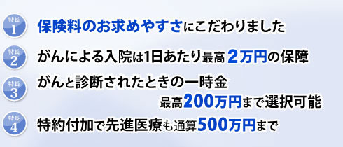 カチッとがん保険の特長