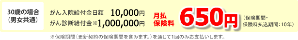 30歳の場合（男女共通）＝月払保険料650円