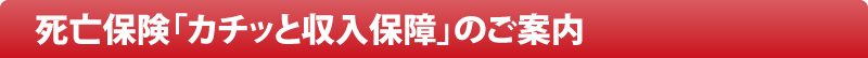 死亡保険「カチッと収入保障」のご案内