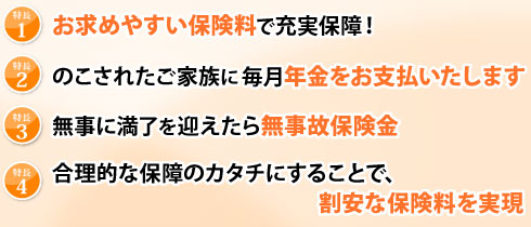 カチッと収入保障の特長