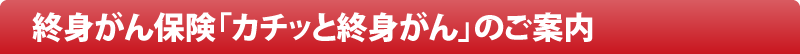 終身がん保険「カチッと終身がん」のご案内