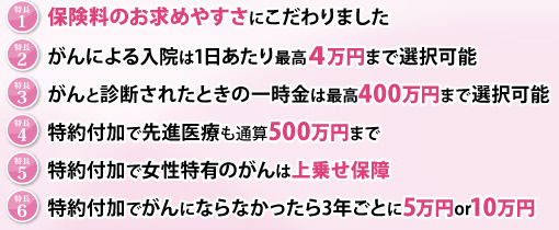 カチッと終身がんの特長