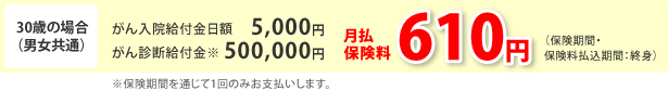 30歳の場合（男女共通）＝月払保険料610円