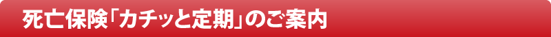 死亡保険「カチッと定期」のご案内